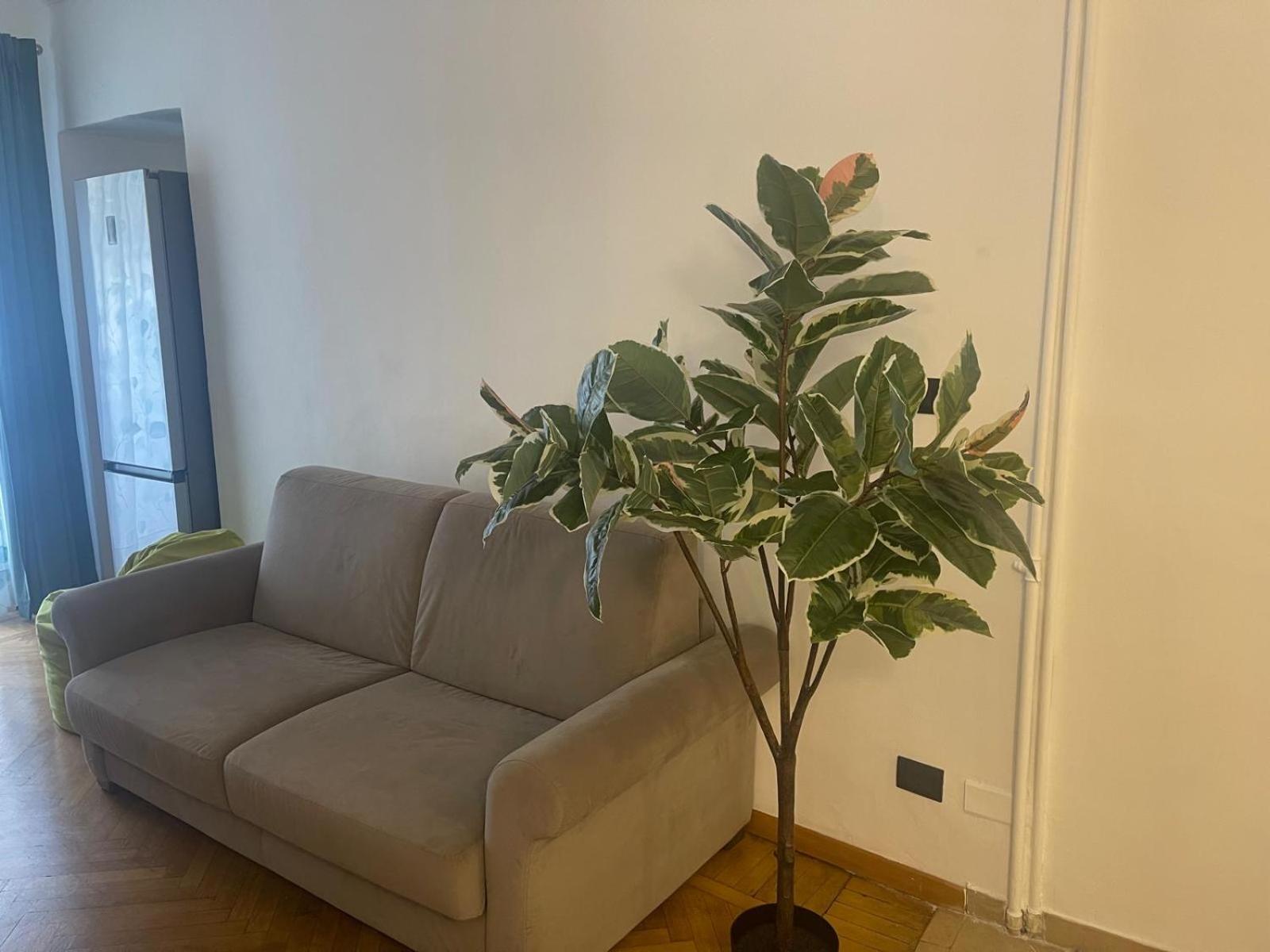 Torino Natura In Centro Bagian luar foto