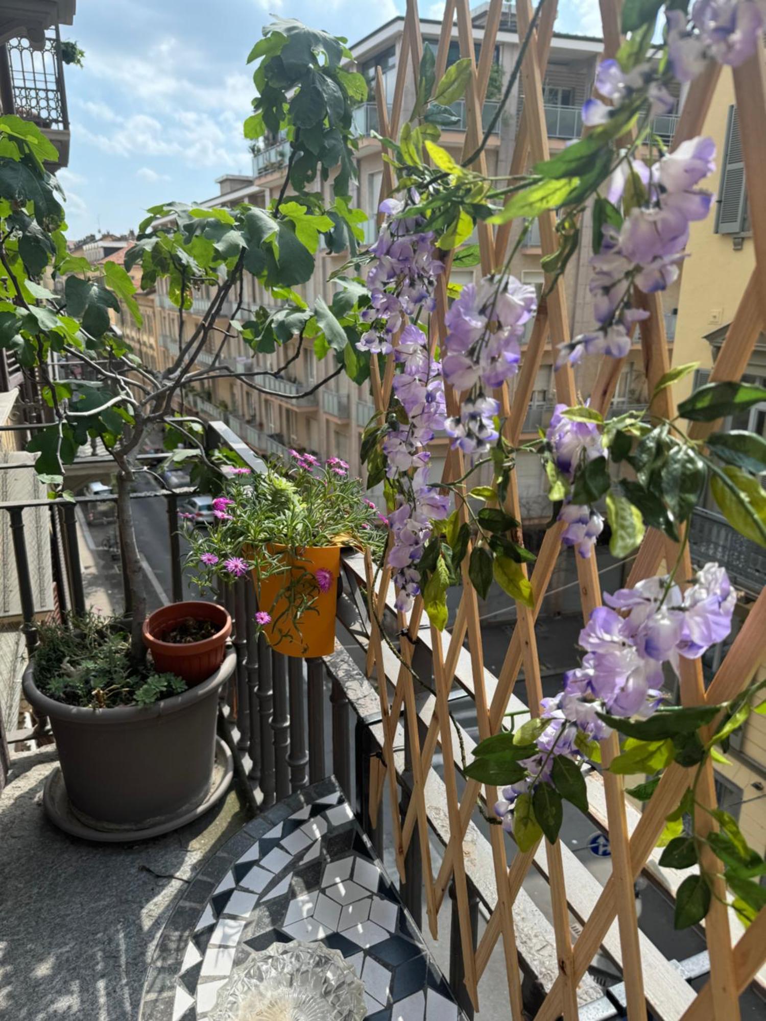 Torino Natura In Centro Bagian luar foto