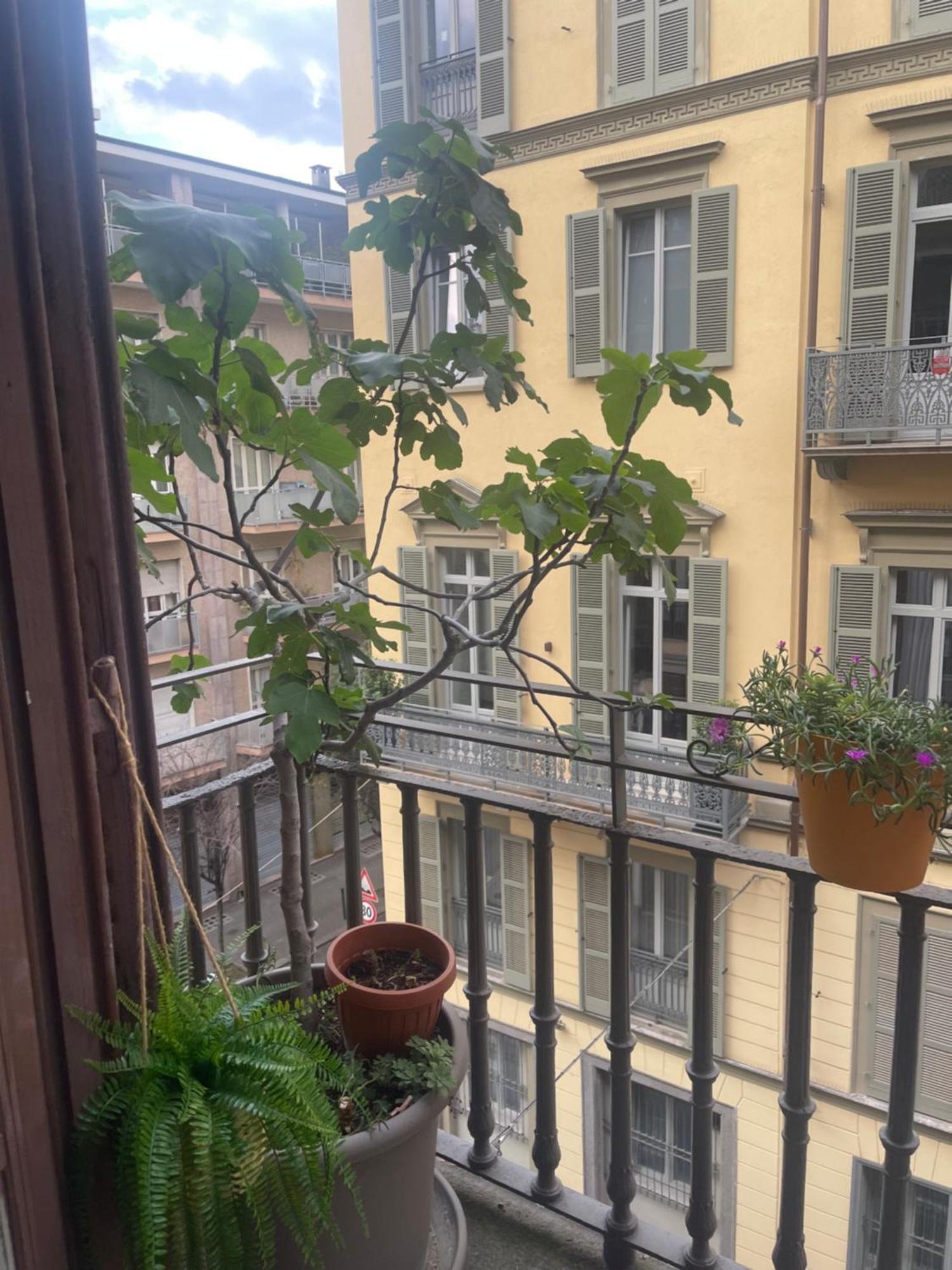 Torino Natura In Centro Bagian luar foto
